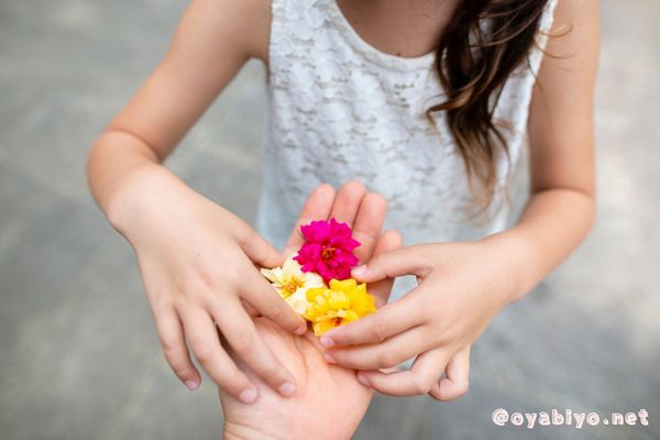 まとめ｜不安が強い子には「不安を感じ切る育て方」を。